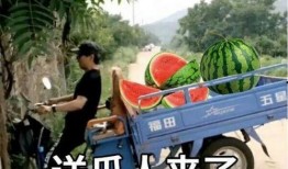 最近大瓜事件,揭秘明星隐私风波背后的真相